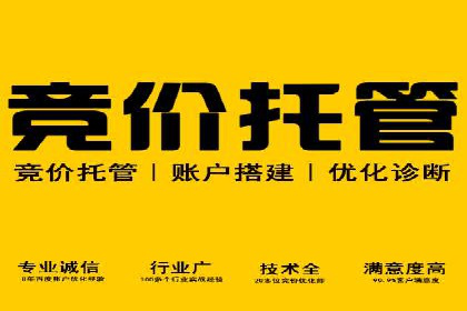 SEM广告投放的技巧与策略——成功案例分享